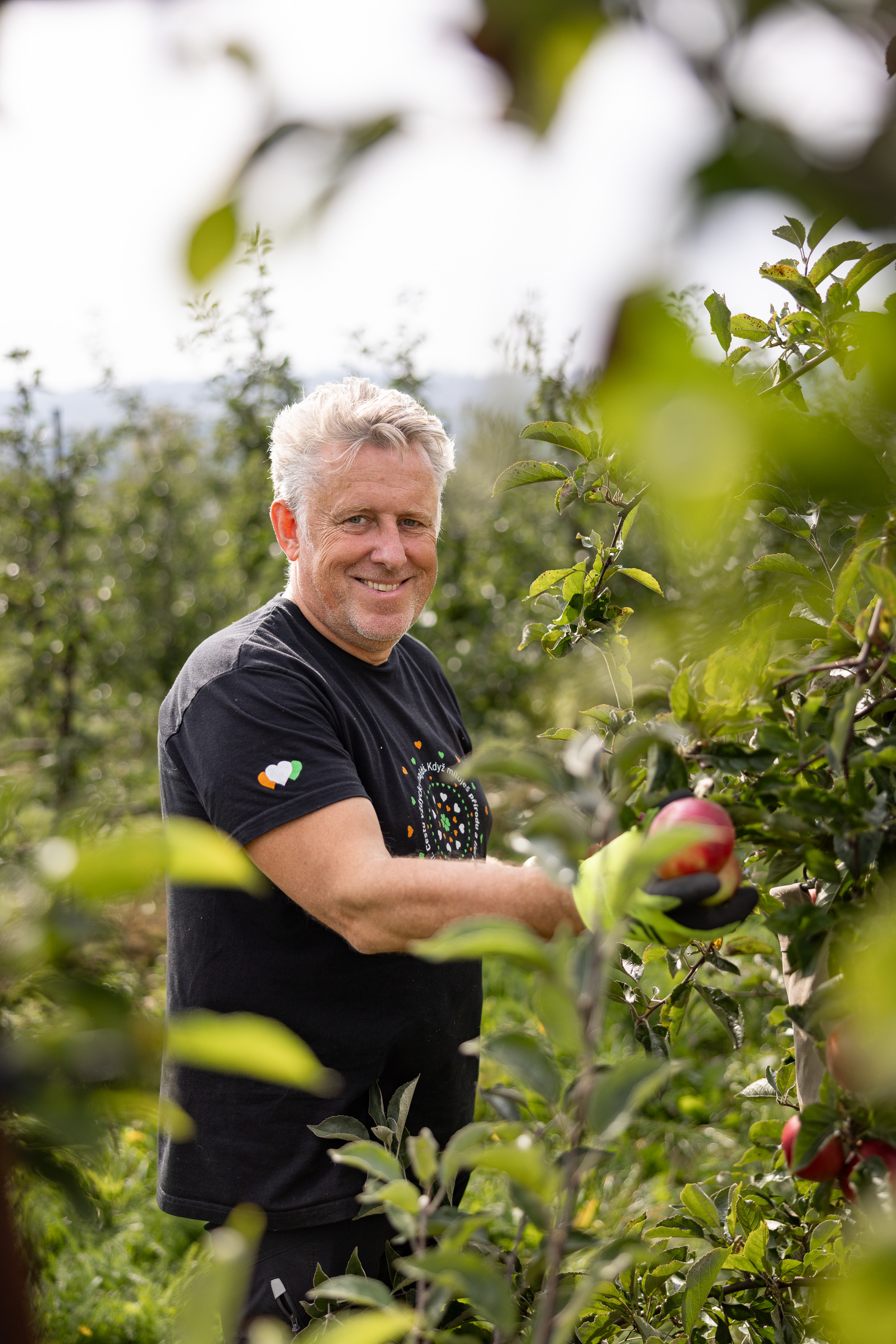 Kofola becomes owner of apple orchards in the Czech Republic  and co-owner of coffee plantations in Colombia